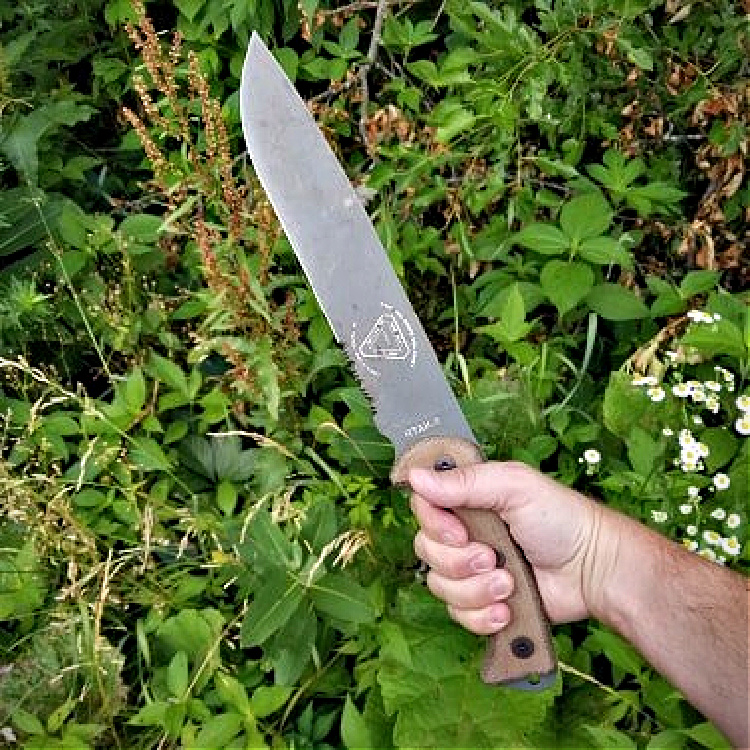 RTAK II field knife in hand.