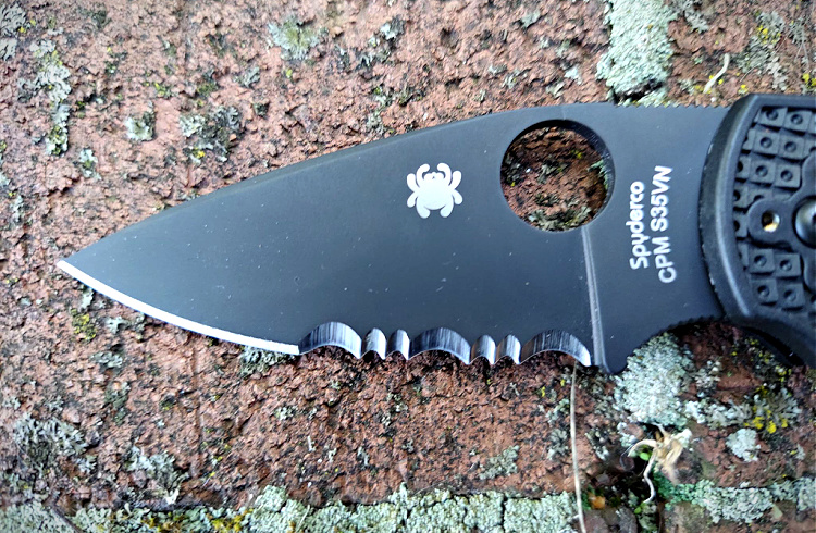 Spyderco Native 5 partially serrated blade.